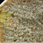 Recepty – Jemný chléb bez vážení